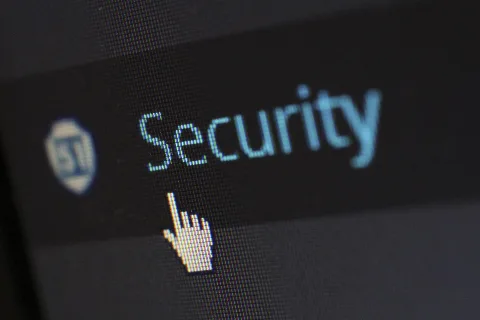 Internet Sscreen Security Pprotection -Wow Themes
