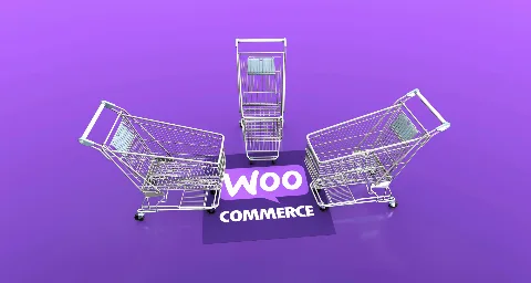 Top 15 Wordpress Plugins for Your eCommerce Store