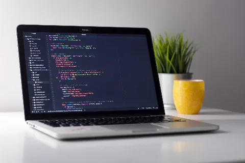 Ruby on Rails Development -Wow Themes